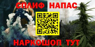 сатива Кандалакша