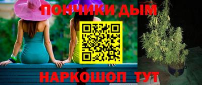 шишки Канаш