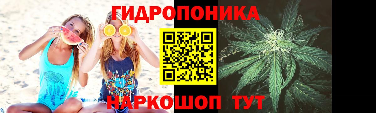 Канабис THC 21%  Конопля конопля  Ступино  Вход с VPN  Конопля тримм 